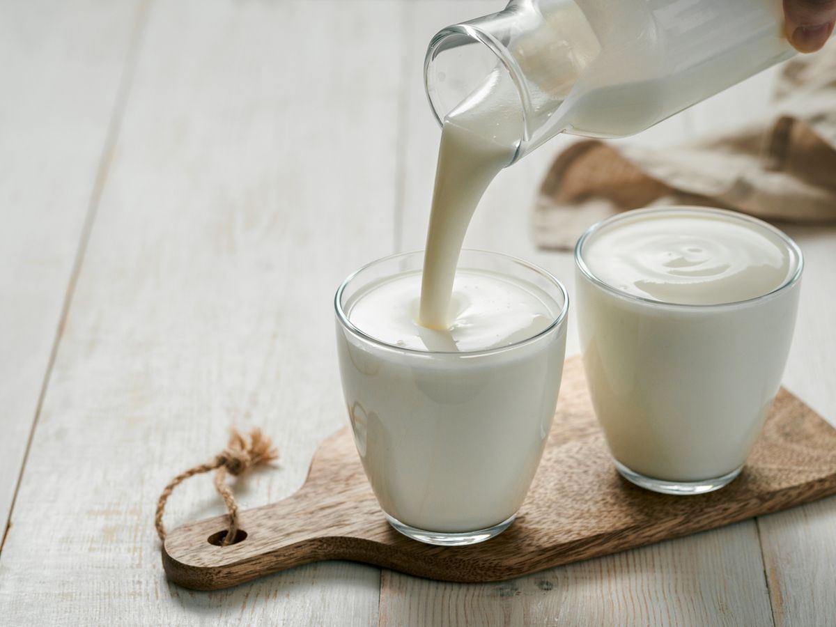 Susu yang Bagus untuk Pencernaan: Mengoptimalkan Kesehatan Lambung dan Usus