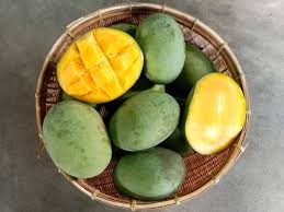 Mangga sebagai Buah Tropis Kaya Nutrisi Menurut Vegetomania.com